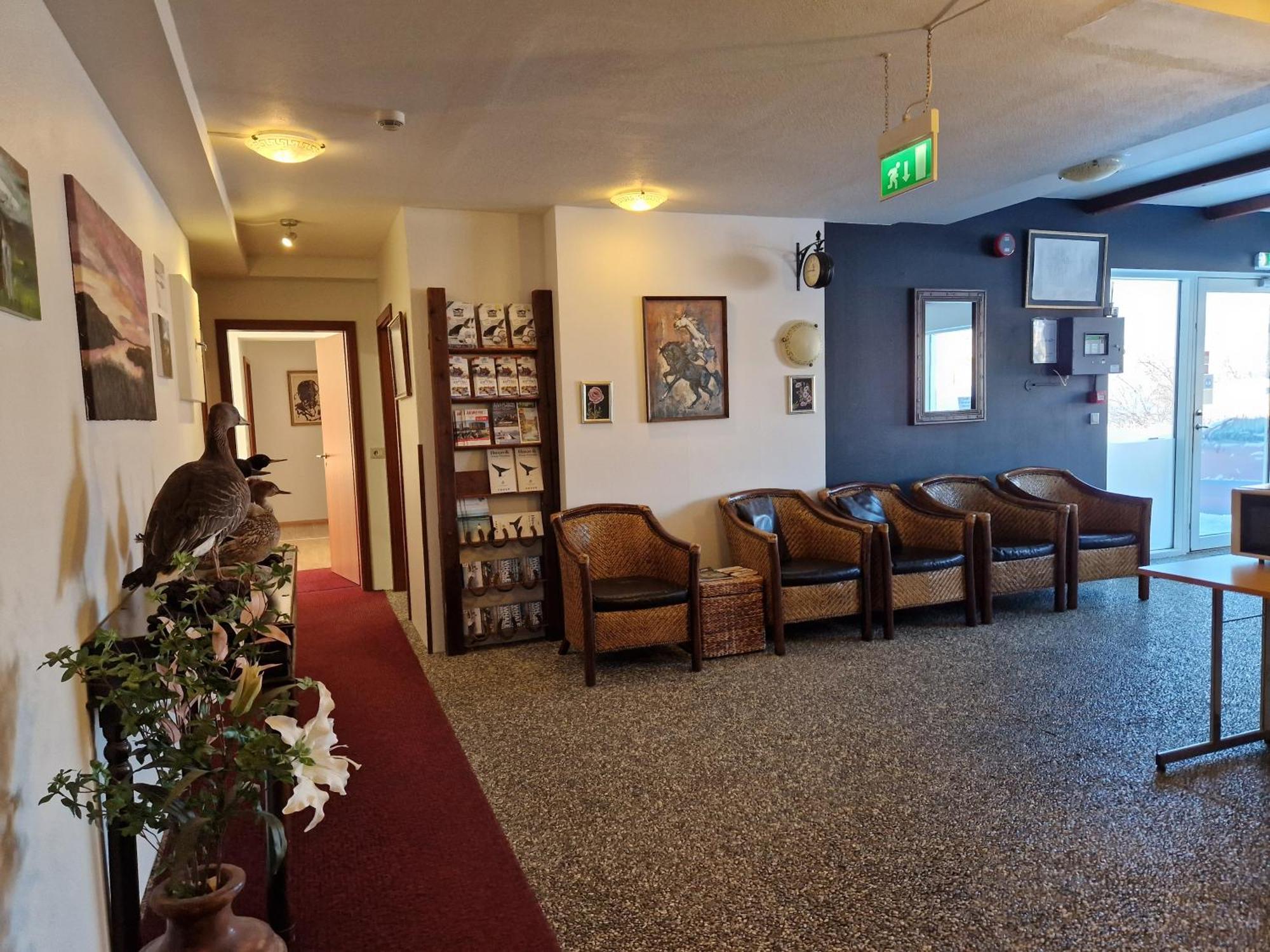 Gauksmyri Guesthouse Lodge 哈马斯坦基酒店 外观 照片