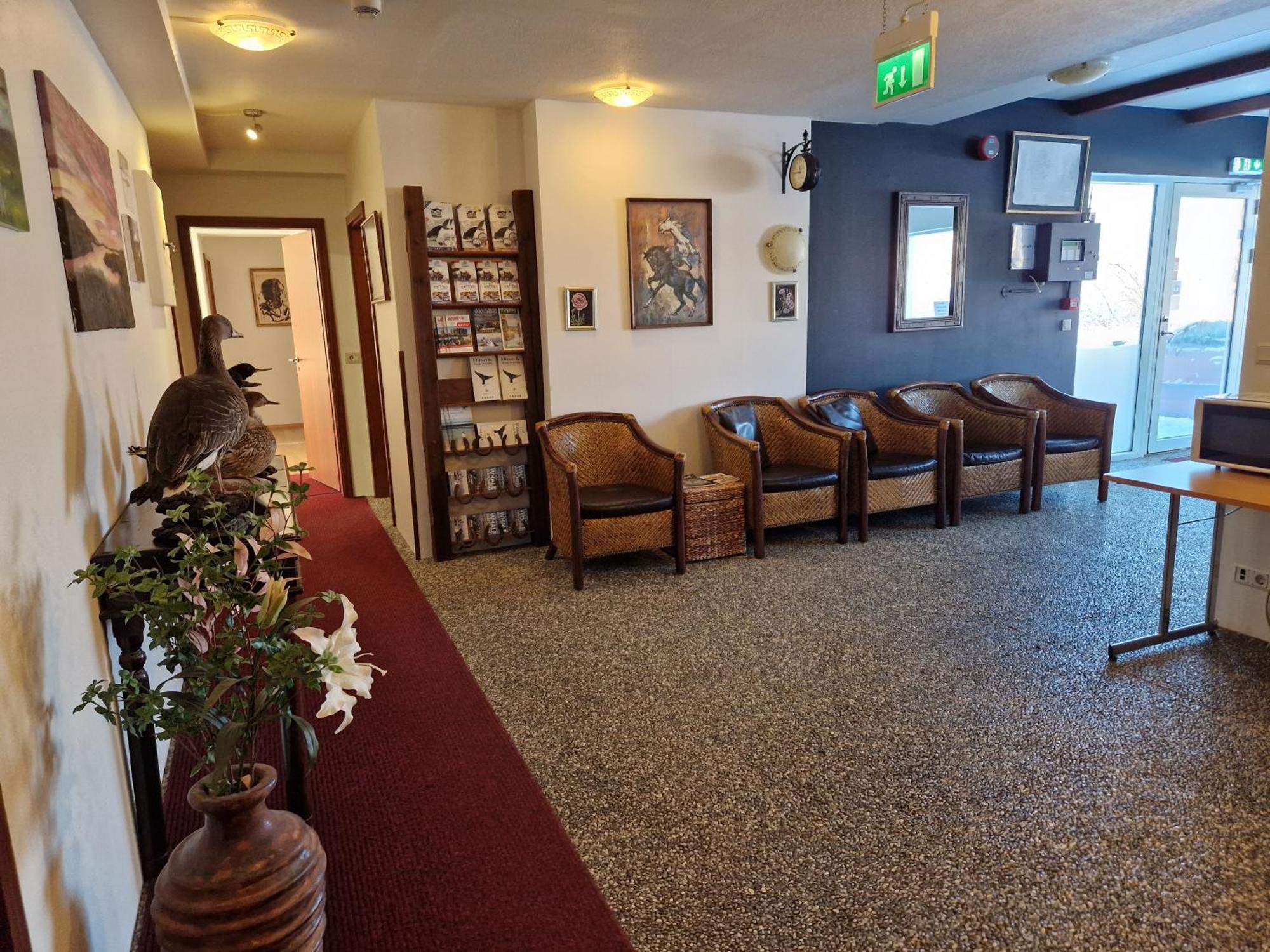 Gauksmyri Guesthouse Lodge 哈马斯坦基酒店 外观 照片
